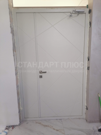 Фото двери №15