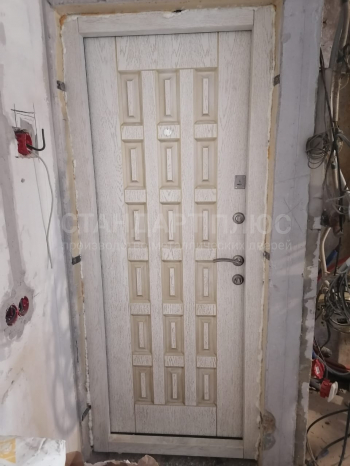 Фото двери №33